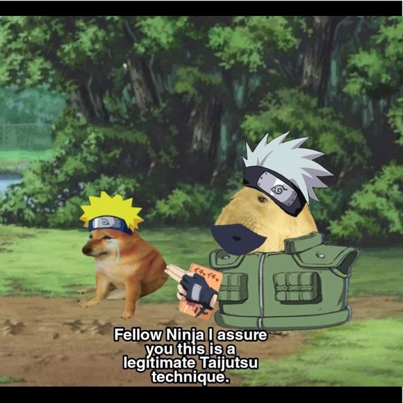 Meet your Posher, James - Picture 1 of 1